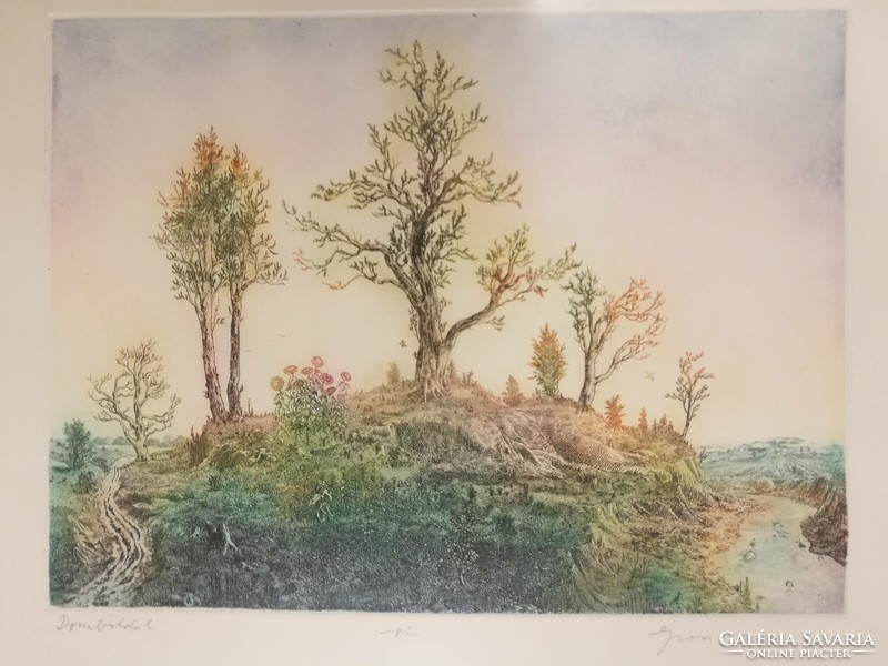 Gross arnold hillside, flawless etching