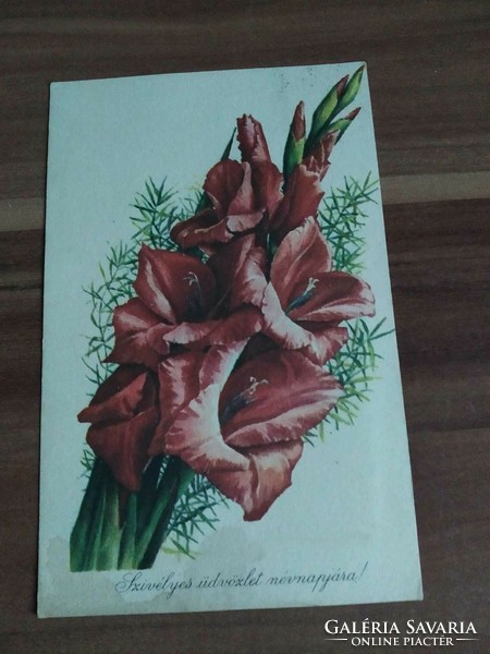 Old floral postcard, gladiolus, drawing: Konrád Stremitzer, circa 1960s