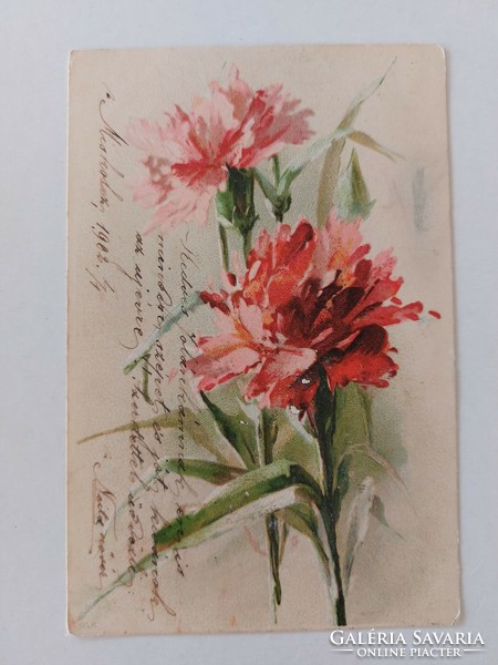 Régi képeslap 1902 virágmintás levelezőlap szegfű