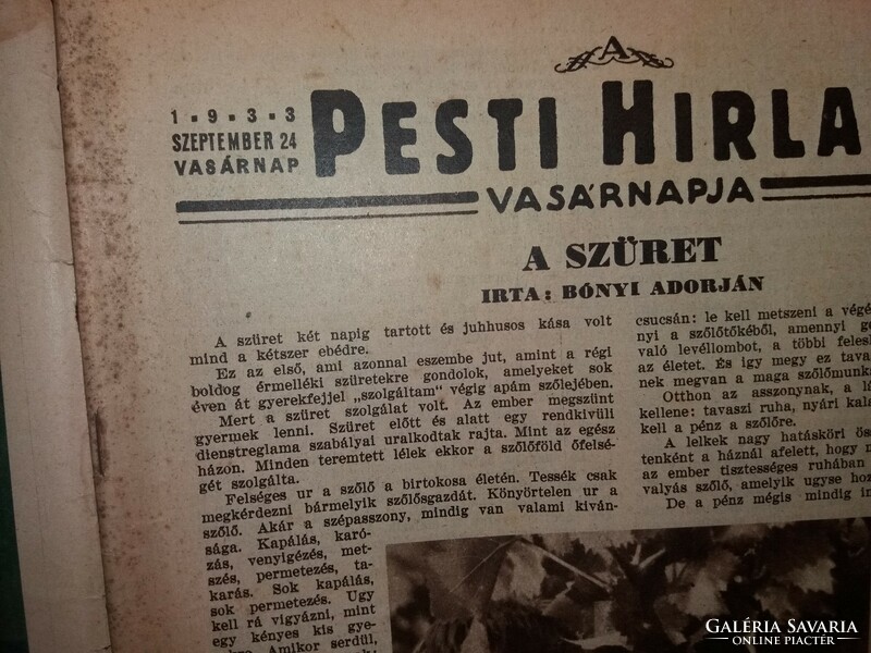 Antik 1934.VII. 16."A PESTI HÍRLAP VASÁRNAPJA " újság magazin képek szerinti állapot
