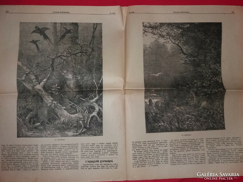 Antik 1911 .október 42. szám VILÁG KRÓNIKA újság magazin szép állapot képek szerint