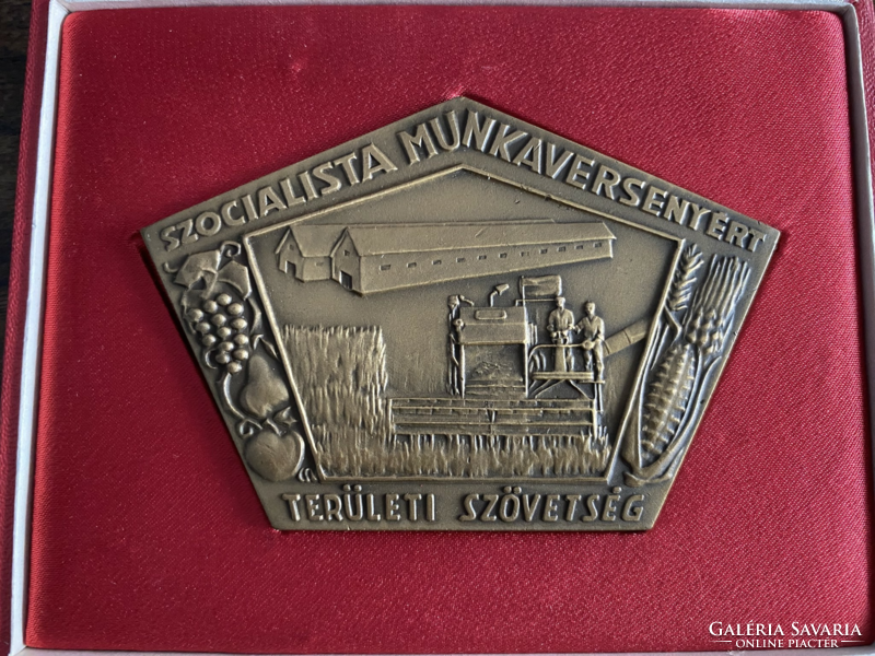 For socialist work competition - bronze plaque in gift box