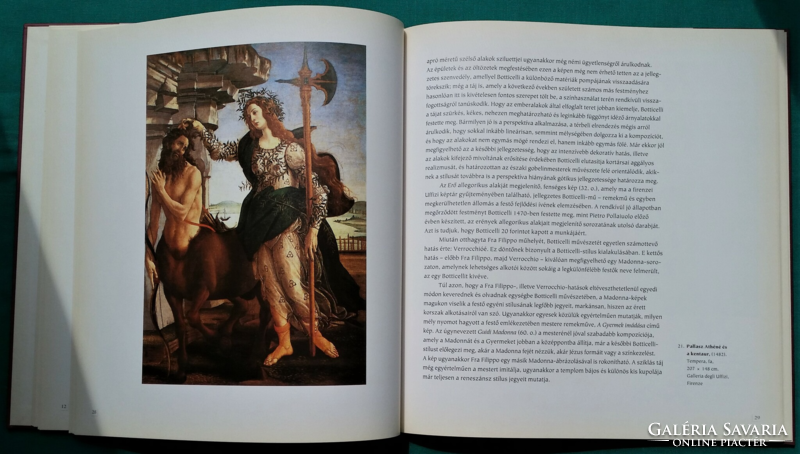 zsuzsa Rappai: botticelli - world famous painters - arts > painting > albums >