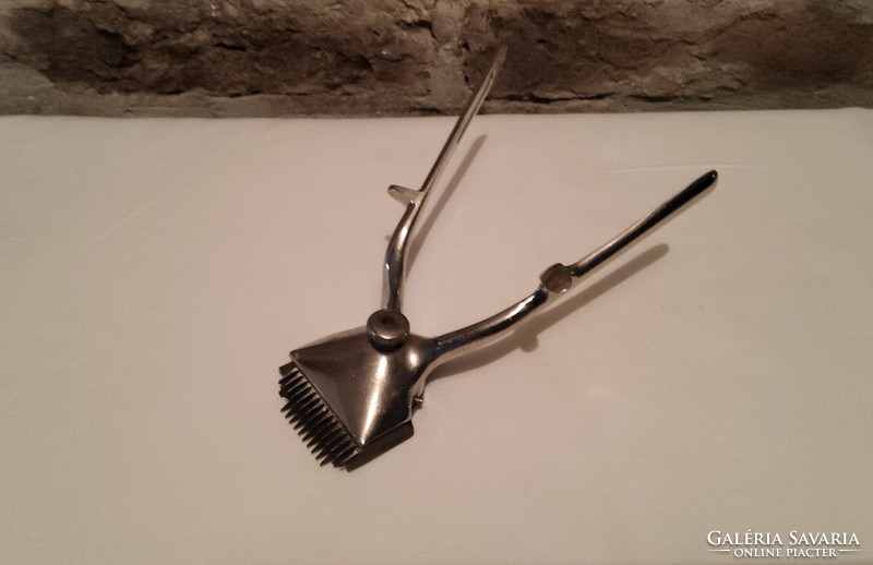 Old metal hand clipper