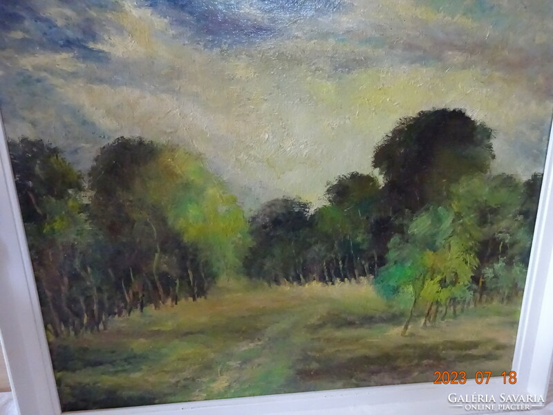 Forest edge 50x60 oil painting