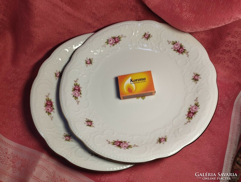 Gyönyörű Seltmann Weiden német porcelán kínáló tál, tányér, asztalközép