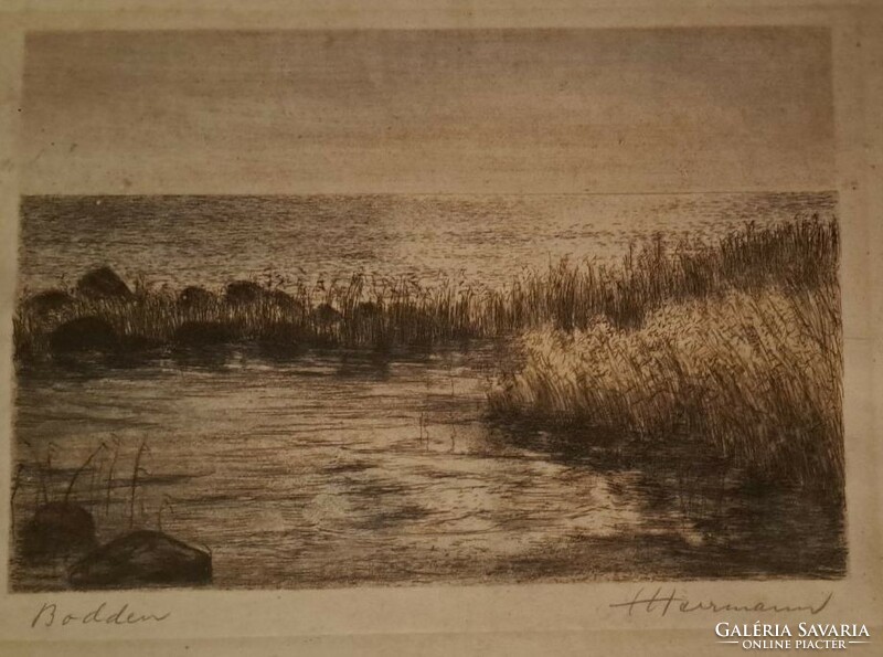 Bodeni-tó partján Szignált rézkarc. Üvegezett kerettel. Mérete: 29x38 cm.