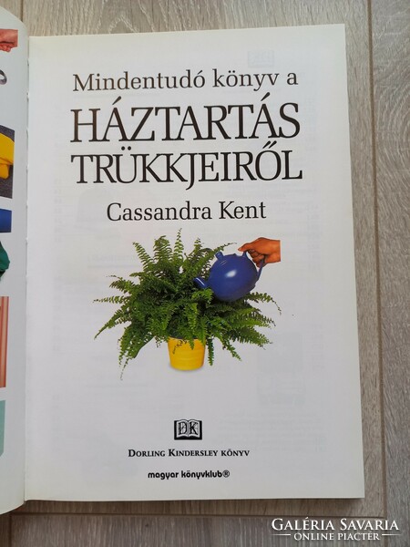 Cassandra kent: know-it-all book about household tricks c. Book