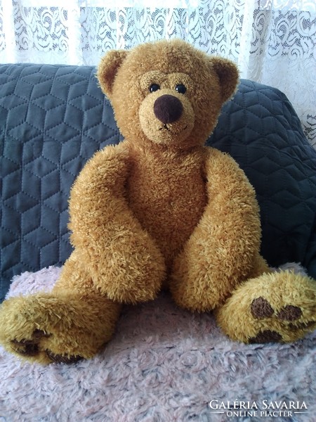 Teddy bear to the collection! Brown teddy bear with real bear nose and paws.
