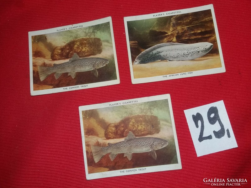 Antik 1930 gyűjthető VEGYES cigaretta reklámkártyák HALAK egyben 29.