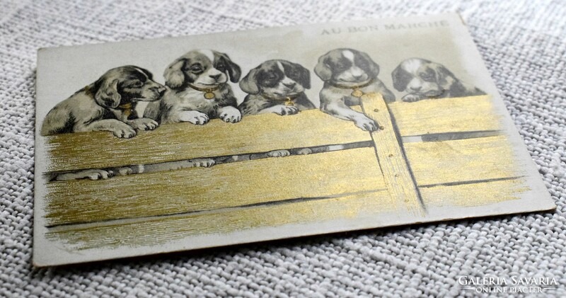 Antique graphic litho non-postcard / dog fence - reverse side le bon marché store advertisement