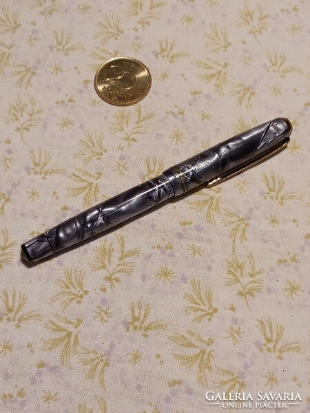 Iridium point-old fountain pen in leather case