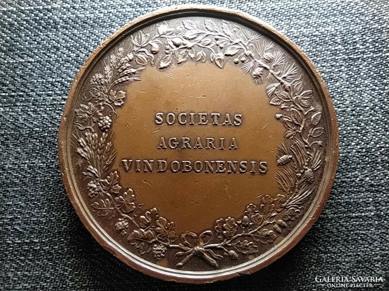 Ausztria Bécs Mezőgazdasági Társaság 56 mm bronz medál 1823 (id46290)