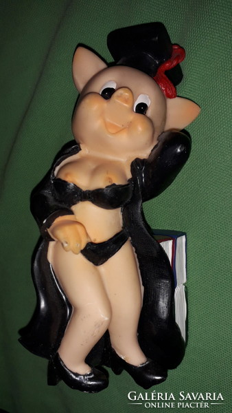 Quirky, funny graduate sexy teacher piglet hand-painted figure bookend 15 cm according to pictures
