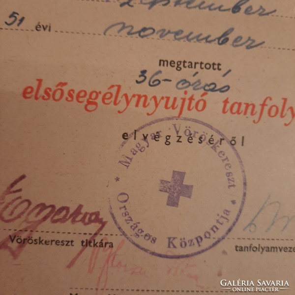 Igazolás a Magyar Vöröskereszt elsősegélynyújtó tanfolyama elvégzéséről  1951