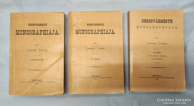 Lehoczky Tivadar: Beregvármegye monographiája I-III.  Reprint!