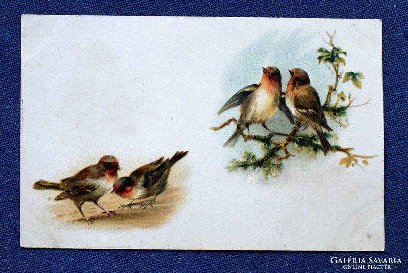 Antik üdvözlő litho képeslap  vörösbegyek madár