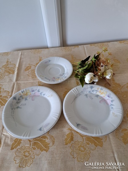 3 small plates for replacement or addition 46.