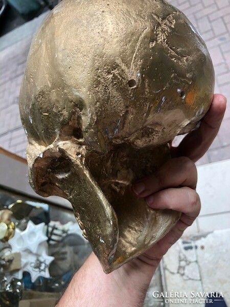 Kerámia koponya, élethű méretű, tömör szép alkotás.