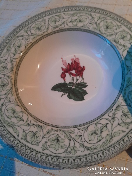 The royal which plate in a pair