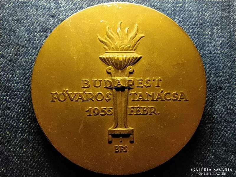 Magyarország Budapest Főváros Tanácsa 1955 bronz érem (id79019)