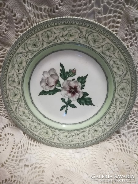 Royal Horticultural Society Applebee gyűjtői tányér