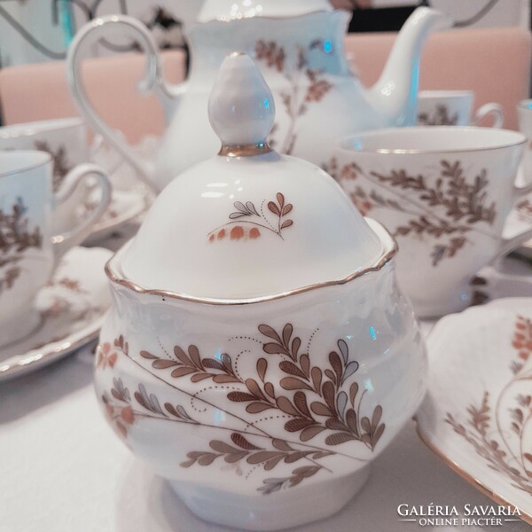 Porcelain tea coffee set