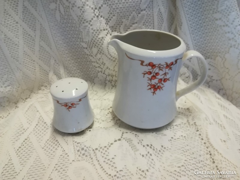 Alföldi porcelain rosehip pattern salt shaker + spout