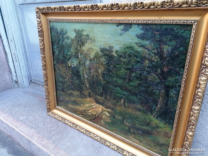Olaj-vászon festmény, erdőbelső, arany-fa képkeret, szignót próbáld meg leolvasni 65x82 cm