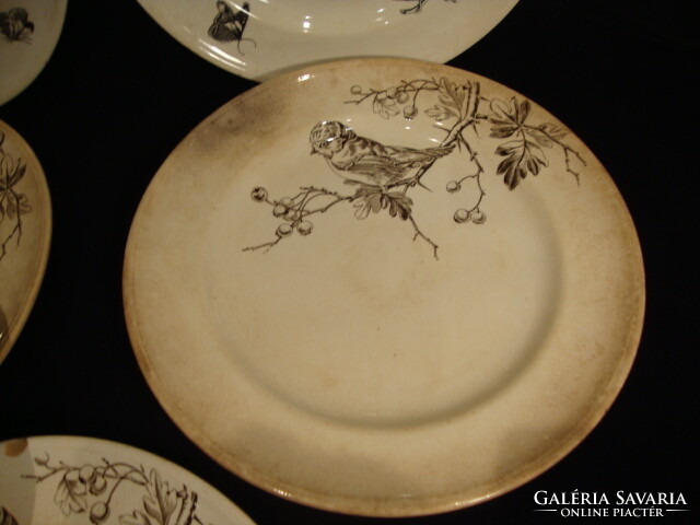 7 db Antik MINTON tányér az 1800-as évekből