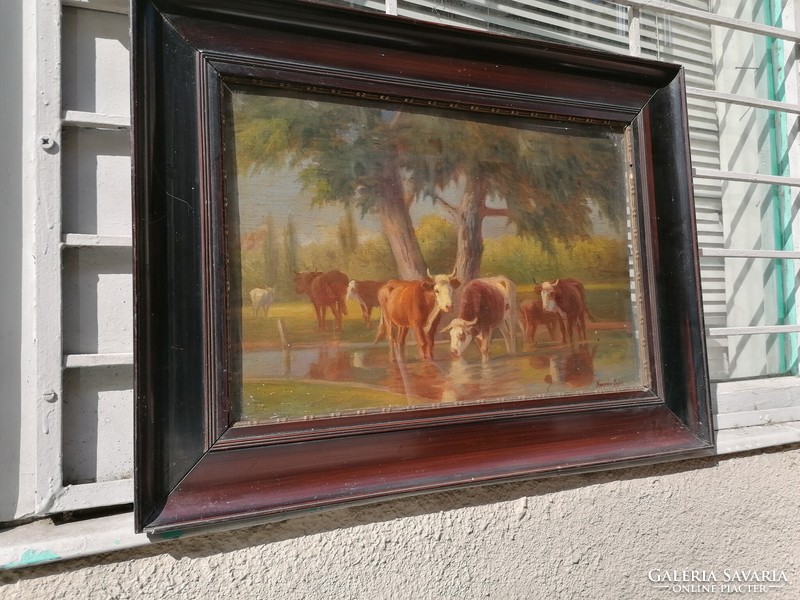 A rare cow painting by Lojos Korpács, oil on wood