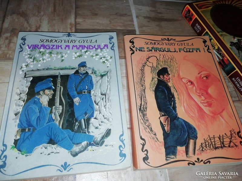 Historical books by Gyula Somogyváry