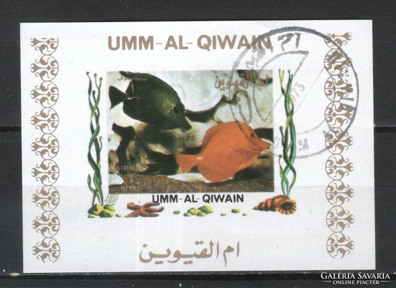 Halak, vízi élőlények 0012 (Umm-al Qiwain)