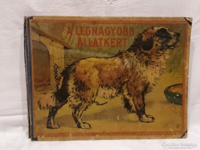 Publication of the biggest zoo Hungarian trade bulletin around 1914 rarity p46