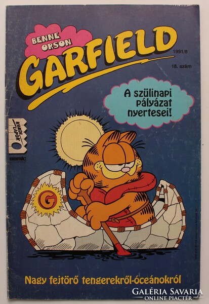 Garfield comic 1991/8 18. Number