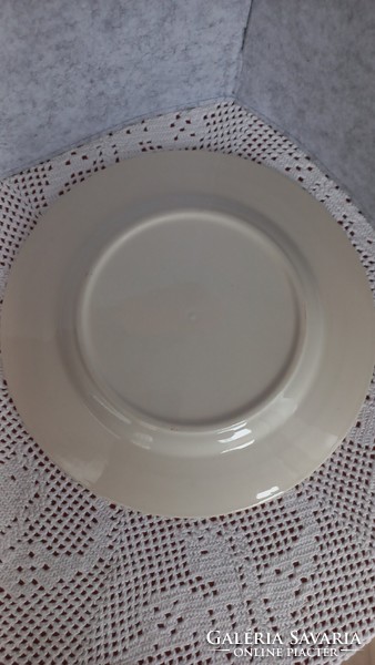 English faience porcelain flat plate, undamaged, diameter: 24 cm.