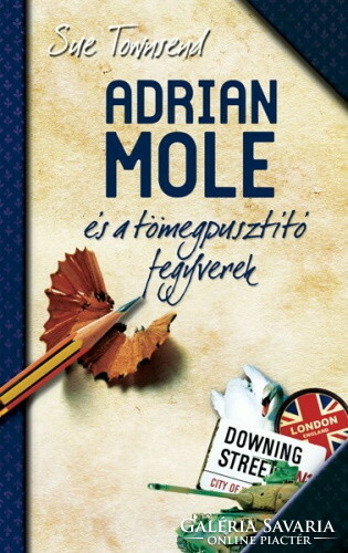 Sue Townsend: Adrian Mole and the Weapons of Mass Destruction