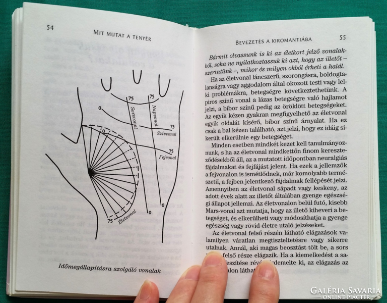 Little Bángyula: what does the palm show? - Introduction to palmistry - the library of knowledge series