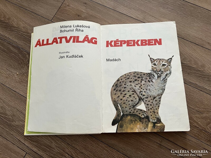 Állatvilág képekben könyv