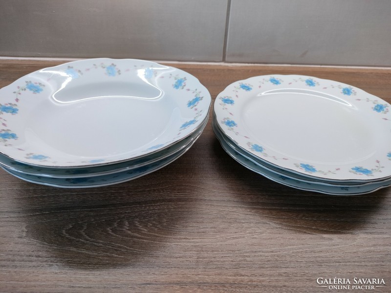 Blue, flower-patterned Chinese porcelain plates