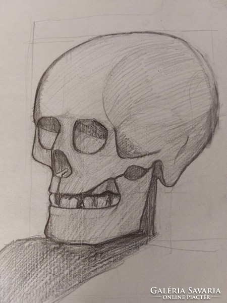 Skull pencil drawing graphics for sale
