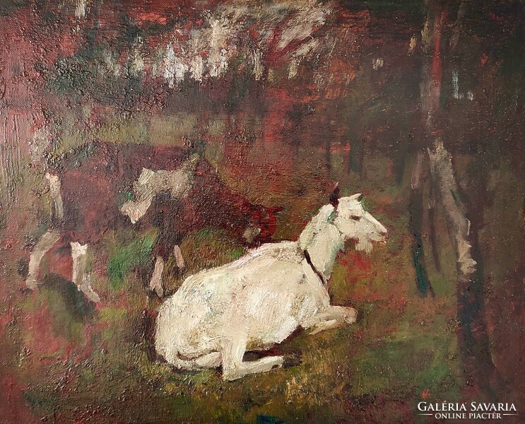 Sándor Gulyás ( 1889 - 1974 ) resting goats