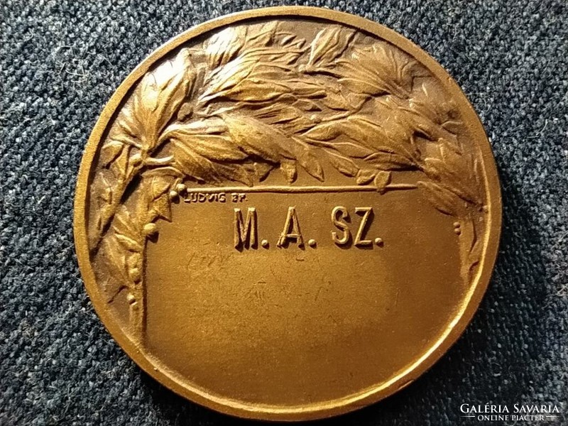 M.A.SZ. Magyar Atlétikai Szövetség bronz emlékérem (id79271)