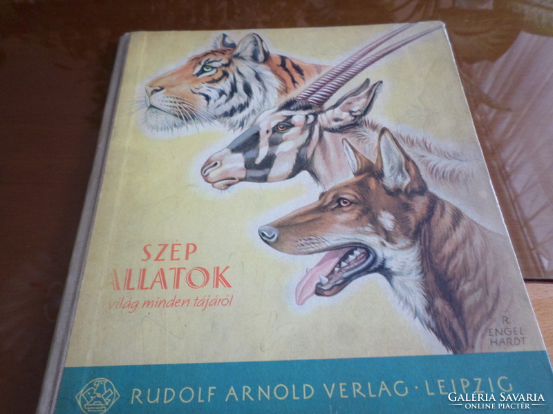 SZÉP ÁLLATOK a világ minden tájáról a világ minden., Rudolf Arnold Verlag Leipzig,, 1959
