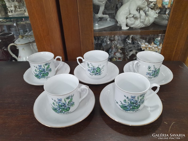 Chinese 5-person hand-painted floral coffee and tea set, set.