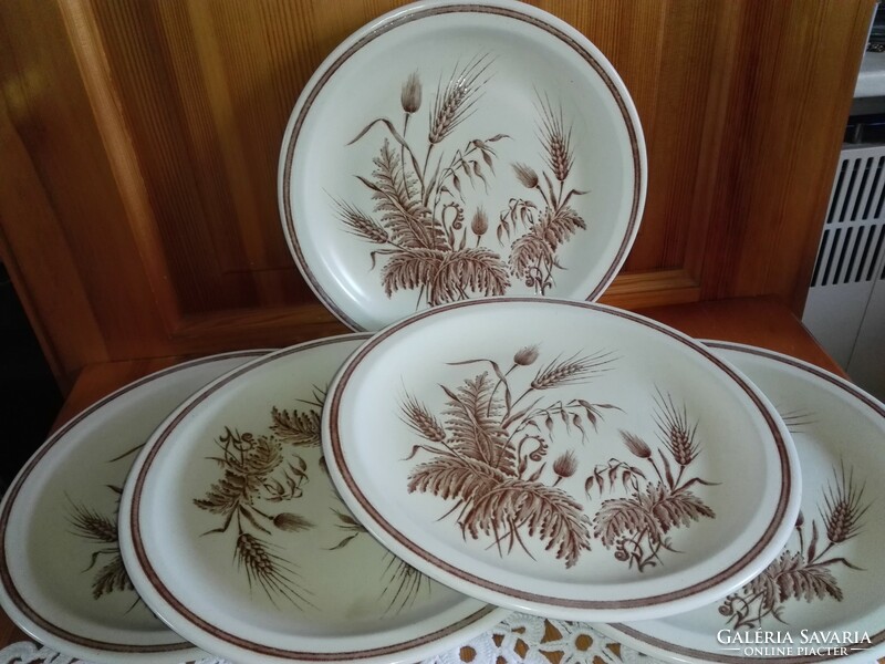 English Churchill flat plate...5 pcs.