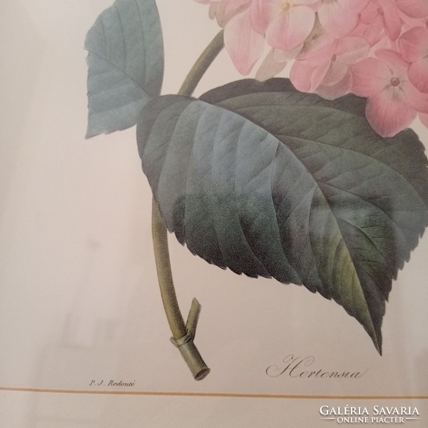 Rózsa és hortenzia mutatós fa keretben, üvegezve, 36,5 x 36,5 cm