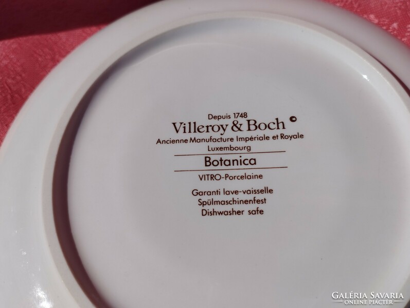 Villeroy & Boch növényhatározós porcelán csészealj, kistányér