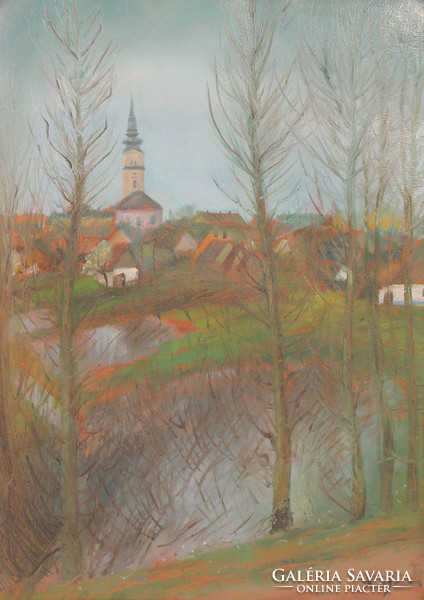 Ernő Klein from Kisjenő: view of the city