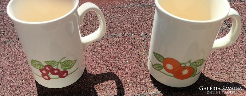 England fruit pattern mug pair
